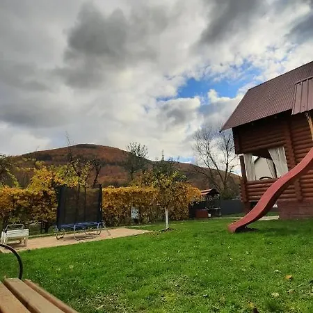 Дом отдыха карпатський краєвид *