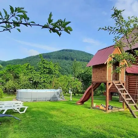 карпатський краєвид Поляна