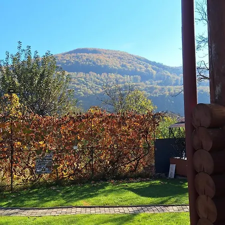 карпатський краєвид