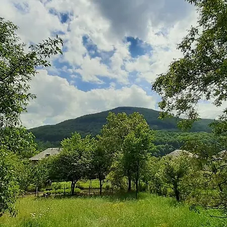 карпатський краєвид * Поляна