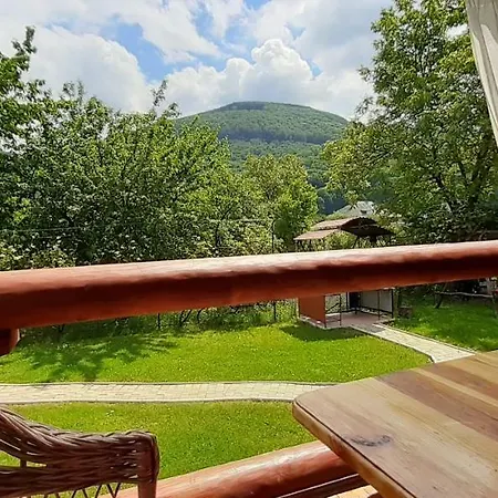 карпатський краєвид Поляна