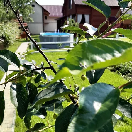 карпатський краєвид *