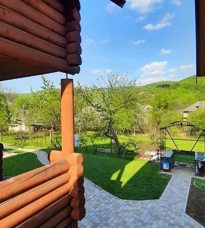 карпатський краєвид Поляна