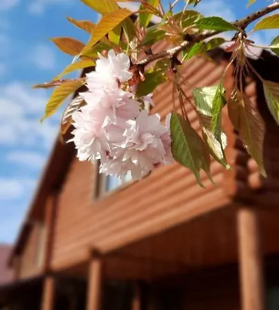 карпатський краєвид Дом отдыха *